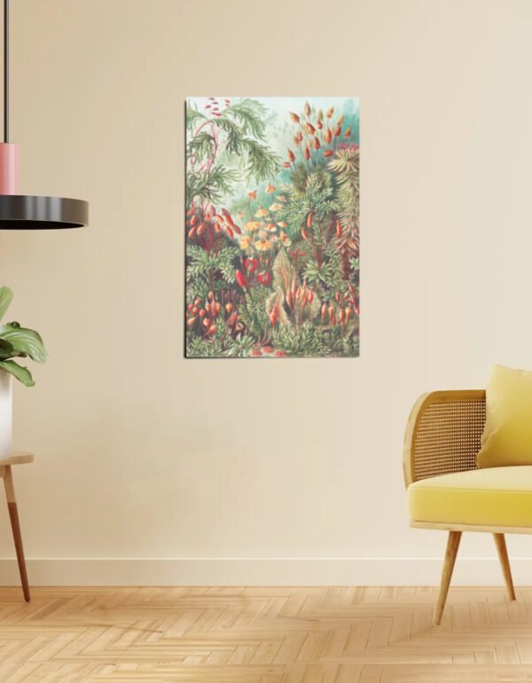 "Mosses" – Muscinae – Laubmoose from Kunstformen der Natur – Ernst Haeckel (Poster Print)