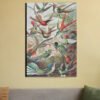 "Hummingbirds" – Trochilidae–Kolibris from Kunstformen der Natur – Ernst Haeckel (Canvas Wall Art)