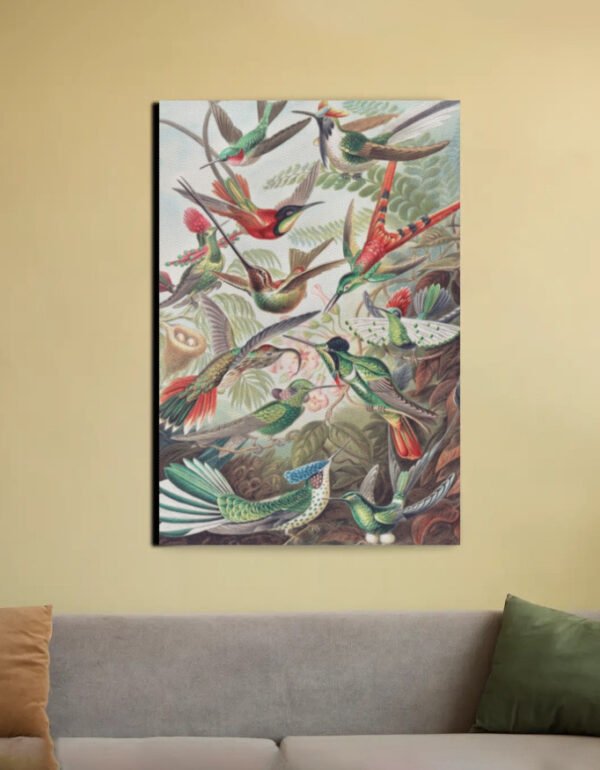 "Hummingbirds" – Trochilidae–Kolibris from Kunstformen der Natur – Ernst Haeckel (Canvas Wall Art)