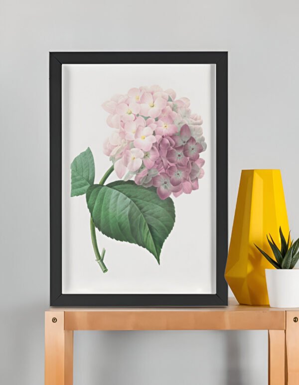 Hydrangea – Pierre-Joseph Redouté (A3 Framed Art Print)